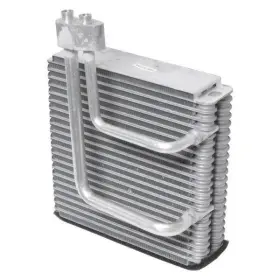 680-58788 AAPF Ac Evaporator Cylinder Spectra