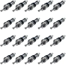 FTT010864 FORD Valve Core F-150 Taurus Explorer Ranger Fusion