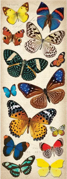 643077137110 AMERICAN CRAFTS Adhesive Chipboard Natural