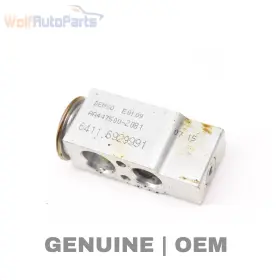 64116929991 BMW Ac Expansion Valve Z4