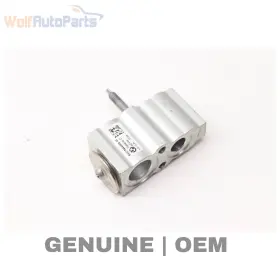 64116994989 BMW Ac Expansion Valve 330I G20