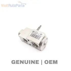 64119496915 BMW Xdrive Ac Expansion Valve