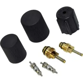 VC-2905C BOLD AUTO PARTS Valve Core Cap Set Kit Buick Dodge #3