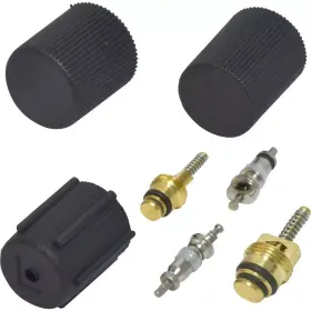 VC-2905C BOLD AUTO PARTS Valve Core Cap Set Kit Buick Dodge