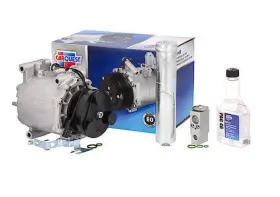 Carquest 4182k A/c Compressor Kit -compressor 78493 Drier 83125 Expansion 39179 Oil 59007