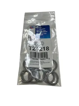 T24218 CARQUEST Garter Spring Ring