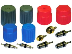 15BTPC93 FOUR SEASONS Valve Core Cap Kit Town-car