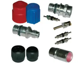 19598TYNC FOUR SEASONS Van Valve Core Cap Kit P1500 Gmc