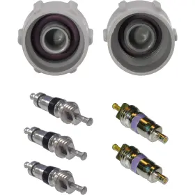 1311752 GLOBAL PARTS Valve Core Cap Kit Bmw