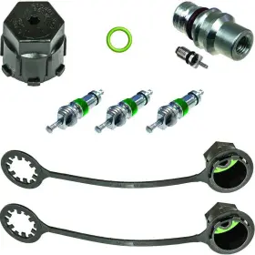 1311749 GLOBAL PARTS DISTRIBUTORS Valve Core Cap Kit