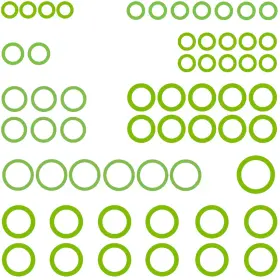 1321402 GPD Ring Gasket Kit