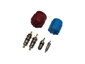 36745XHPQ GPD Valve Core Cap Kit GL550 Mercedes