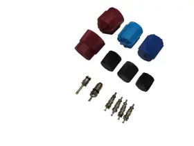 63819DWVB GPD Valve Core Cap Kit Xj Jaguar
