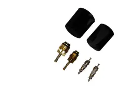CB767WY GPD Valve Core Cap Kit Ford Excursion