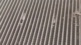 8850150230 LEXUS Air Conditioning Ac Evaporator Front LS460 #3