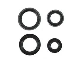 68308979AA MOPAR Expansion Valve Seal Kit