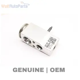 PAB81667900 PORSCHE Ac Expansion Valve A8 Audi Quattro