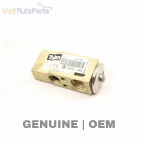 701820679D VOLKSWAGEN Ac Expansion Valve Vw Eurovan