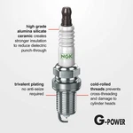 Spark Plug-g-power Ngk 5019. Fixed Price $33.99.