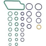Four Seasons 26025 O Ring & Gasket A/c System Seal Kit. Fixed Price $43.79.