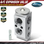A/c Expansion Valve For Hyundai Santa Fe Xl 2019 Kia Sorento Telluride. Fixed Price $18.99.