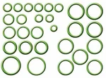 Buyautoparts 60-90074 A/c O-ring Kit Ac O Rings Gap. Fixed Price $29.41.