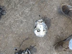 Ac Compressor With Carbon Dioxide Scope Fits 08-10 Bmw 550i. Fixed Price $199.95.