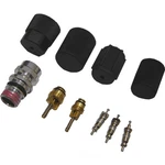 A/c System Valve Core And Cap Kit Global. Fixed Price $14.43.