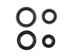 Genuine Mopar Expansion Valve Seal Kit 68308979aa. Fixed Price $25.08.