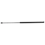 Genuine Ford Lift Cylinder Ft4z-16c826-a. Fixed Price $48.76.