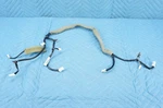 Infiniti Qx56 Front Ac Evaporator Harness Wiring Cable 24040-1la0a 2011 2012 Oem. Fixed Price $45.00.
