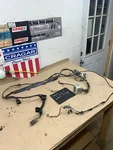 1998-2002 Ford Ranger Mazda B2300 B4000 Under Carpet Seatbelt Wiring Dome Light. Fixed Price $39.99.