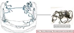 Engine Room Harness Oem 2013 Kia Optimakia. Fixed Price $200.00.