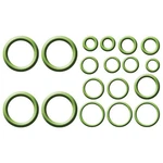 Gpd 1321336 A/c System O-ring & Gasket Kit Fits 2002-2005 Ford Thunderbird. Fixed Price $44.99.