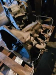 Manual Transmission 3 Speed With 6-240 Fits 65-71 Ford F100 Pickup. Fixed Price $579.52.