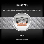 Genuine 2017-2022 Chevrolet Bolt Ev Ac Refrigerant Service Valve Cap 96961785. Fixed Price $39.00.
