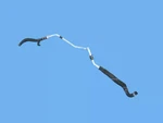 Genuine Mopar Power Steering Return Hose 68400650aa. Fixed Price $149.76.