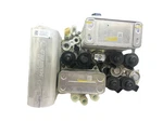 2024-2025 Tesla Model 3 Highland Supermanifold Assembly Oem 1547595-03-h. Fixed Price $400.00.