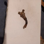 5354988 Air Pump Check Valve Chevrolet Gm 1966 1967 1968 1969 Smog. Fixed Price $25.00.