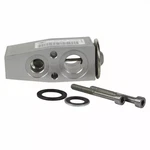 Genuine Ford Expansion Valve Bc3z-19849-b. Fixed Price $45.80.