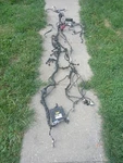06 Toyota Scion Xa Engine Wire Harness 1.5l At W/ecm &fuse Box W/battery Cables. Fixed Price $214.99.