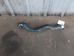 2013-18 Bmw F30 320i Charge Pipe Air Induction Tube Hose. Fixed Price $41.24.
